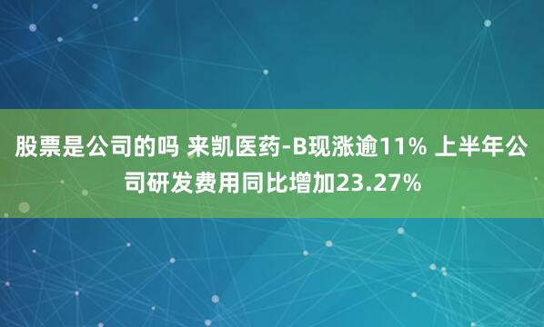 股票是公司的嗎 來凱醫(yī)藥-B現(xiàn)漲逾11% 上半年公司研發(fā)費(fèi)用同比增加23.27%